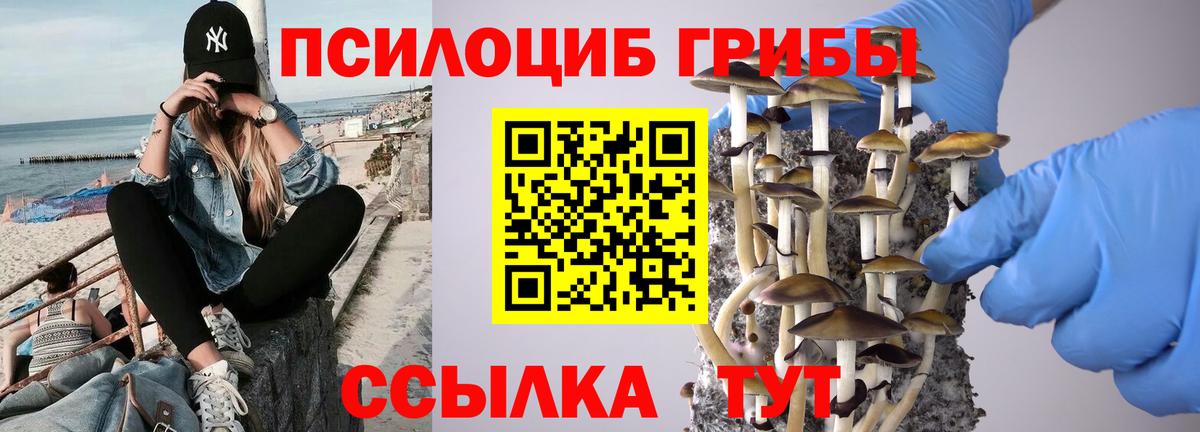 Ливны  Псилоцибиновые грибы Psilocybe  Вход с VPN 