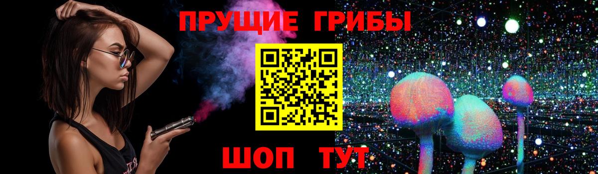 Галлюциногенные грибы Psilocybe Ливны